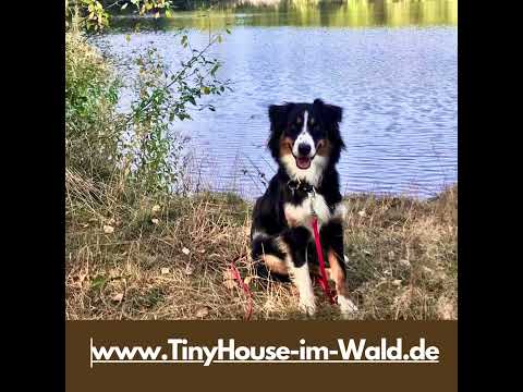 Tannaer Rundwanderweg #ferienhausmithund