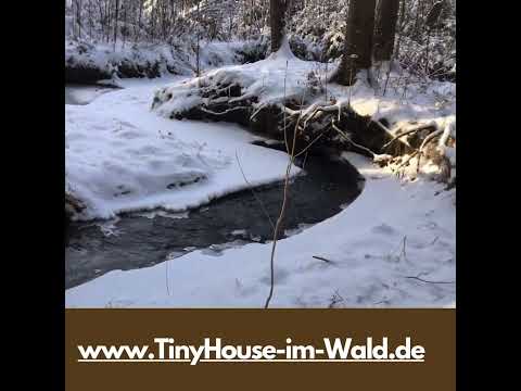 Winter am Lieblingsplatz. https://tinyhouse-im-wald.de #ferienhausmithund