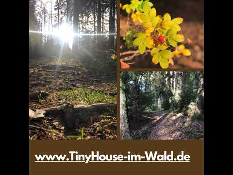 Kleine Runde am Tiny House im Wald #ferienhausmithund