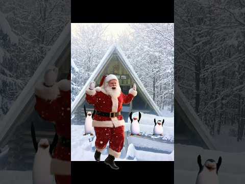 Schönen 2. Advent vom Rosenbühl #ferienhausmithund