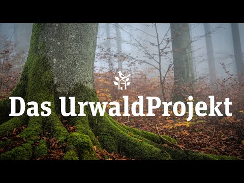 Das UrwaldProjekt - English subtitle