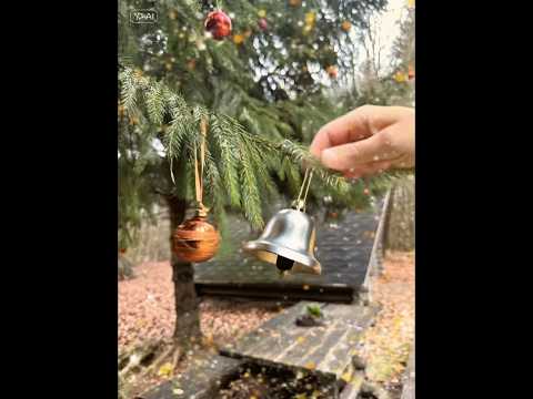 Nikolaus-Ritual am Rosenbühl #christmas