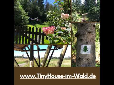 Tour vom Tiny House zum Tannaer Marmorbruch #ferienhausmithund #urlaubindeutschland #auszeit