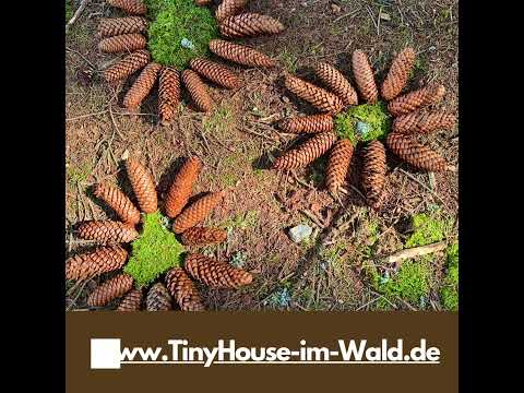 Wald-Mandala im Tiny House Wald #ferienhausmithund