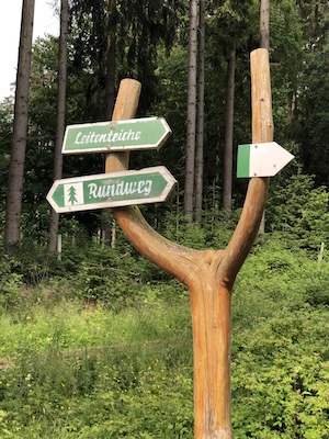 wegweiser im Wald