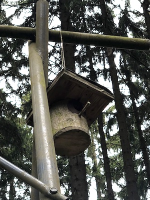 vogelhaeuschen an der schaukel im wald