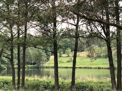 oberer leitenteich weg schaukel im wald