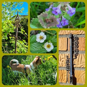 wildblumen, garten, ferienhaus, hunde erlaubt, hundewillkommen, leitenteiche, wasser, wald, wandern, tinyhousethueringen, thueringen, urlaubmithund, wandernthueringen, kleineruheoase, nachhaltigerurlaub, minimalismus, natururlaub, tanna
