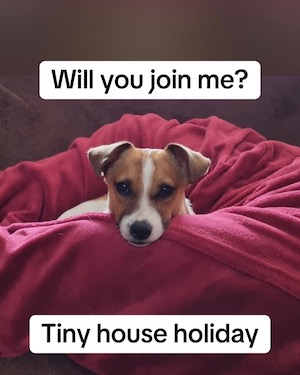 gemuetlich, sofa, hundeerlaubt, hundweillkommen, leitenteiche, wasser, wald, wandern, tinyhousethueringen, thueringen, urlaubmithund, wandernthueringen, kleineruheoase, nachhaltigerurlaub, minimalismus, natururlaub, tanna