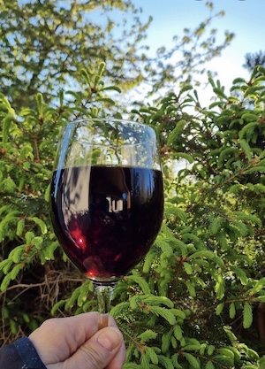 terrasse, wein, rotwein, weinglas, gemütlich, entspannen, fichtenhecke, fichtengrün, fichtenspitzen, wald, wandern, tinyhousethueringen, thueringen, urlaubmithund, wandernthueringen, kleineruheoase, nachhaltigerurlaub, minimalismus, natururlaub, tanna