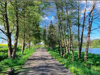 wanderweg, leitenteiche, wasser, wald, wandern, tinyhousethueringen, thueringen, urlaubmithund, wandernthueringen, kleineruheoase, nachhaltigerurlaub, minimalismus, natururlaub, tanna