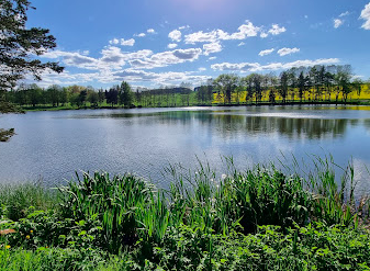 leitenteiche, wasser, wald, wandern, tinyhousethueringen, thueringen, urlaubmithund, wandernthueringen, kleineruheoase, nachhaltigerurlaub, minimalismus, natururlaub, tanna