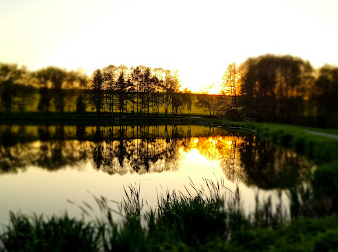 sonnenuntergang, leitenteiche, wasser, wald, wandern, tinyhousethueringen, thueringen, urlaubmithund, wandernthueringen, kleineruheoase, nachhaltigerurlaub, minimalismus, natururlaub, tanna