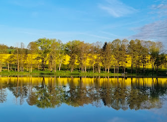 leitenteiche, wasser, wald, wandern, tinyhousethueringen, thueringen, urlaubmithund, wandernthueringen, kleineruheoase, nachhaltigerurlaub, minimalismus, natururlaub, tanna