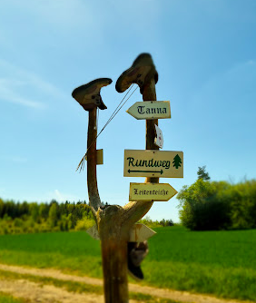 rundweg, leitenteiche, wegweiser, wandern, tinyhousethueringen, thueringen, urlaubmithund, wandernthueringen, kleineruheoase, nachhaltigerurlaub, minimalismus, natururlaub, tanna