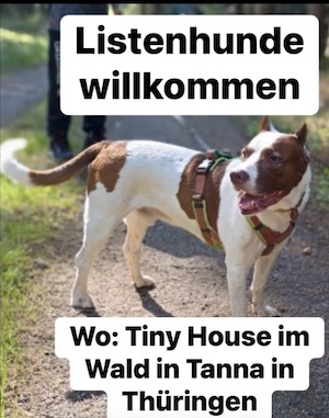 listenhunde willkommen, urlaub in thueringen, tiny house im wald, tanna