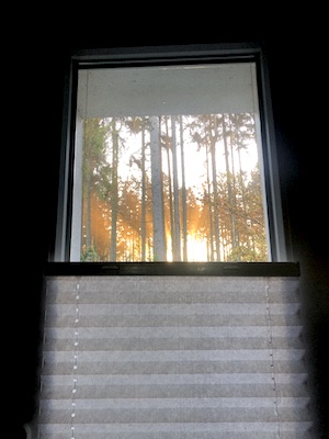 fenster, kueche, blick aus fenster, blick aus kuchenfenster, blick in den wald, sonnenuntergang