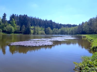 blick auf den oberen leitenteich, hier dueren hunde schwimmen, badespass fuer hunde, hundefreundliches ferienhaus