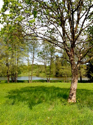 blick ueber eine wiese zum oberen leitenteich, Ruhiger Urlaub mit Hund