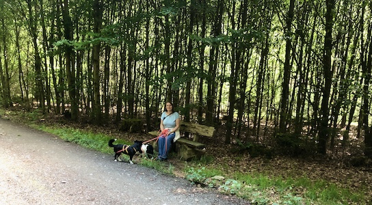 sitzbank, holzbank, ausruhen im wald, wanderweg, ausruhen bei wanderung mit hund, hinsetzen auf lieblingstour, lieblingstour