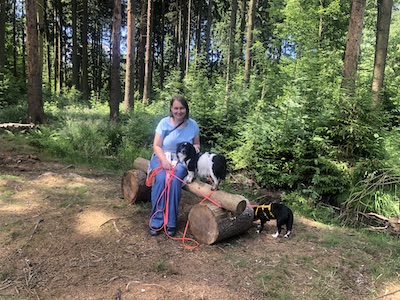 sitzplatz, lieblingstour, hunde am lieblingsplatz, erholung, natur