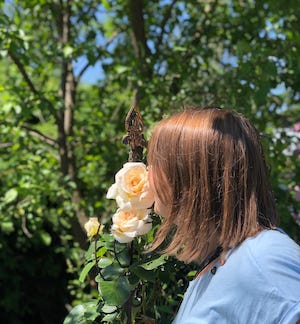rose, gast riecht an rose vor dem tiny house im wald, rose im garten, tour-ende am tiny house im wald, lieblingstour ende am tiny house im wald