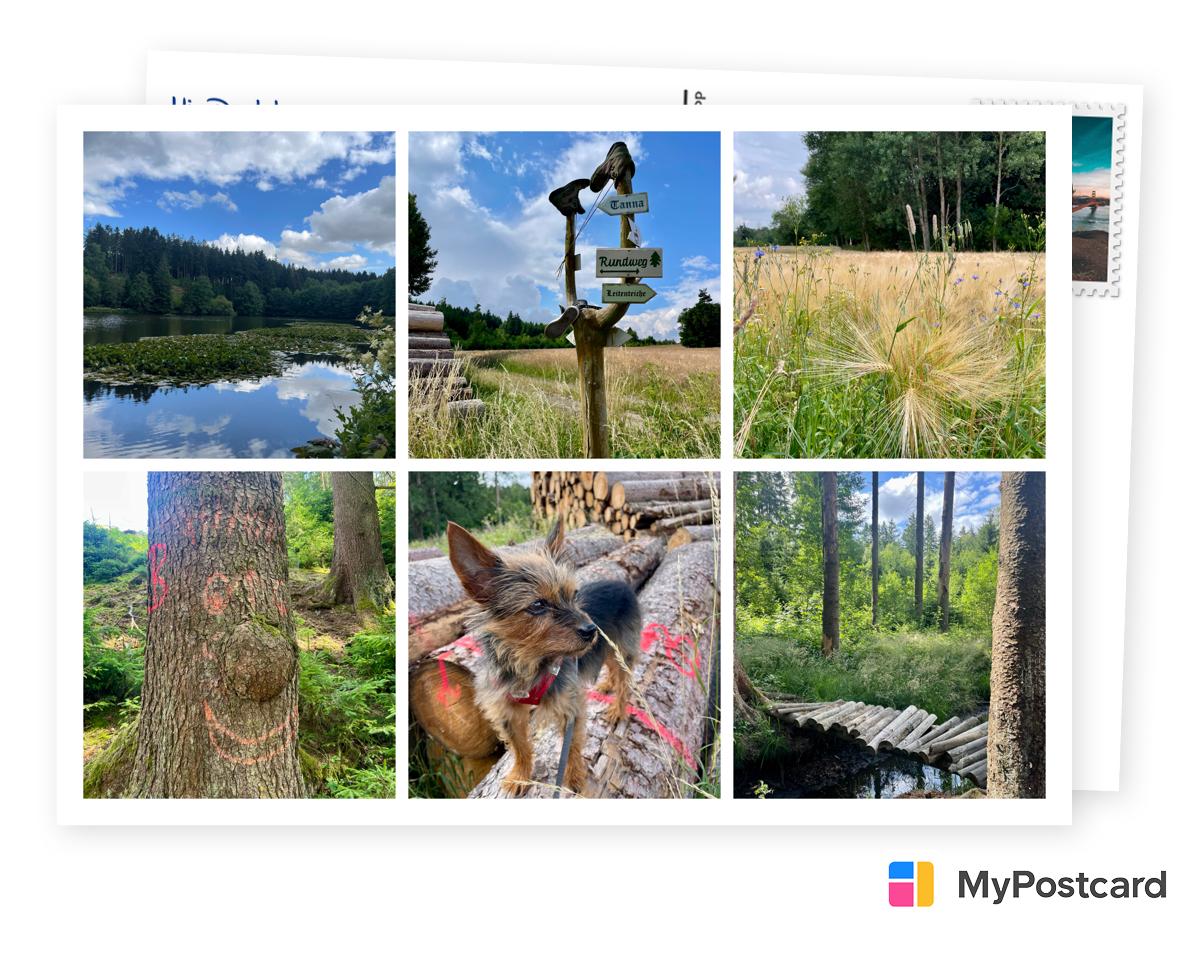 Glückskekse postkarte, mypostcard, persoenliche postkarte, urlaubsgruesse versenden