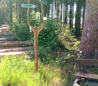 Tiny House, Urlaub mit Hund, Ferienhaus, Tanna, Thüringer Vogtland, Erholung, Wanderungen, rosehnbuehl, , wegweiser, wanderweg, bank, Thüringer Schiefergebirge, Hunde entspannt, Natururlaub, Entspannung pur, Hunde-Paradies, Ausflugsziele Thüringen, Stammgäste, Naturerlebnis, Urlaub buchen, Urlaubsfotos