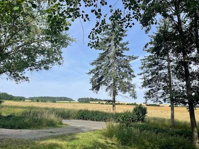 wandern, tiny house im wald, thueringen, wald, thueringer vogtland, urlaub, ferienhaus, bewertung, tanna, felder, wanderweg, anreise