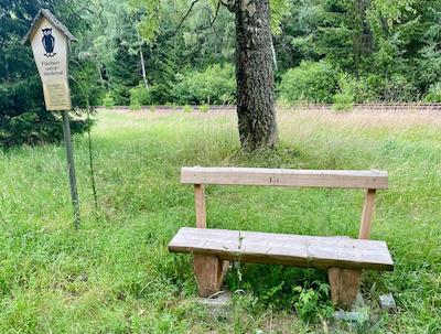 wandern, tiny house im wald, thueringen, wald, thueringer vogtland, urlaub, ferienhaus, bewertung, tanna, bank, flaechennaturdenkmal