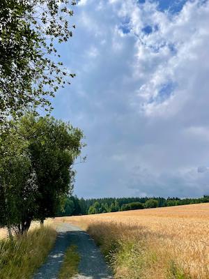 wandern, tiny house im wald, thueringen, wald, thueringer vogtland, urlaub, ferienhaus, bewertung, tanna, wanderweg, felder