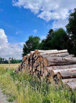 wandern, tiny house im wald, thueringen, wald, thueringer vogtland, urlaub, ferienhaus, bewertung, tanna, wanderweg, holstapel