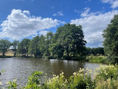 wandern, tiny house im wald, thueringen, wald, thueringer vogtland, urlaub, ferienhaus, bewertung, tanna, hundeteich, unterer leitenteich