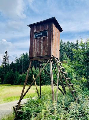 wandern, tiny house im wald, thueringen, wald, thueringer vogtland, urlaub, ferienhaus, bewertung, tanna, jaegerstuhl