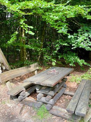 wandern, tiny house im wald, thueringen, wald, thueringer vogtland, urlaub, ferienhaus, bewertung, tanna, rosenbuehl, tisch und baenke