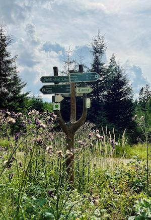 wandern, tiny house im wald, thueringen, wald, thueringer vogtland, urlaub, ferienhaus, bewertung, wegweiser, wanderwege