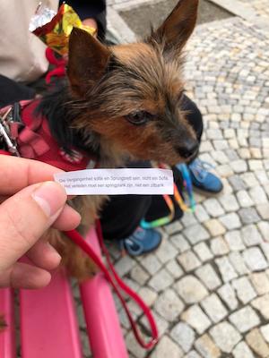 tanna, thueringen, tanna markt, bushaltestelle, bus und bahn, zu fuss, feriengast abholung, abholservice, urlaub mit hund, glueckskeks, begruessung, spruch
