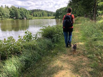 anreise, tiny house im wald, fussweg, zu fuss zum ferienhaus, bushaltestelle zum ferienhaus, anreise mit bus und bahn, oeffentliche verkehrsmittel, umweltfreundliche anreise, umweltfreundlicher urlaub, am unteren leitenteich entlang gehen