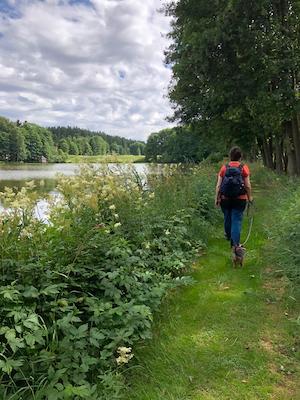 anreise, tiny house im wald, fussweg, zu fuss zum ferienhaus, bushaltestelle zum ferienhaus, anreise mit bus und bahn, oeffentliche verkehrsmittel, umweltfreundliche anreise, umweltfreundlicher urlaub, am unteren leitenteich entlang gehen