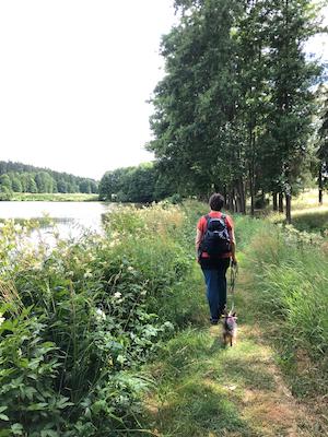 anreise, tiny house im wald, fussweg, zu fuss zum ferienhaus, bushaltestelle zum ferienhaus, anreise mit bus und bahn, oeffentliche verkehrsmittel, umweltfreundliche anreise, umweltfreundlicher urlaub, am unteren leitenteich entlang gehen