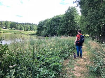 anreise, tiny house im wald, fussweg, zu fuss zum ferienhaus, bushaltestelle zum ferienhaus, anreise mit bus und bahn, oeffentliche verkehrsmittel, umweltfreundliche anreise, umweltfreundlicher urlaub, am unteren leitenteich entlang gehen