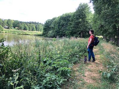anreise, tiny house im wald, fussweg, zu fuss zum ferienhaus, bushaltestelle zum ferienhaus, anreise mit bus und bahn, oeffentliche verkehrsmittel, umweltfreundliche anreise, umweltfreundlicher urlaub, am unteren leitenteich entlang gehen