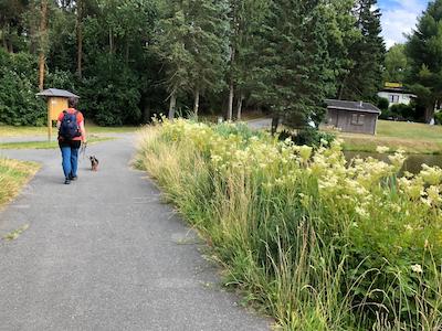 anreise, tiny house im wald, fussweg, zu fuss zum ferienhaus, bushaltestelle zum ferienhaus, anreise mit bus und bahn, oeffentliche verkehrsmittel, umweltfreundliche anreise, umweltfreundlicher urlaub, vorbei zwischen den leitenteichen