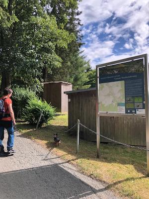 gegenueber infotafel nach links abbiegen, gegenueber strand auf pfad, abbiegenanreise, tiny house im wald, fussweg, zu fuss zum ferienhaus, bushaltestelle zum ferienhaus, anreise mit bus und bahn, oeffentliche verkehrsmittel, umweltfreundliche anreise, umweltfreundlicher urlaub,