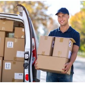 gut zu wissen, paket lieferung, faq, paket liefern lassen, ferienhaus, service, tiny house im wald