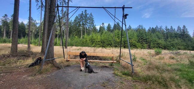 Kurzurlaub, Kurzurlaub mit Hund, Tiny House, im Wald, Hundeurlaub, Urlaub mit Hund, hundefreundlich, Labradorhündin, eingezäunter Garten, Ferienhaus, Unterkunft, Haustiere willkommen, Auszeit mit Hund, Urlaub im Wald, Wald, Teiche