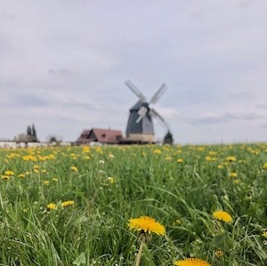 knapp-muehle vorschaubild