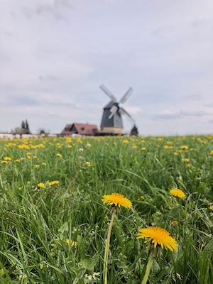 knapp-muehle