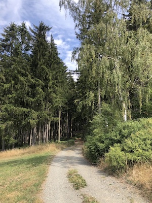 waldweg zur franzosenhöhle