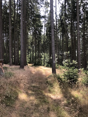 weg zur franzosenhöhle